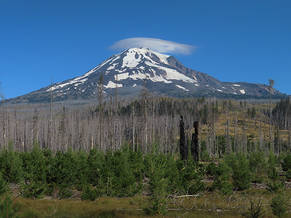 Lenticular cloud over Mt Adams