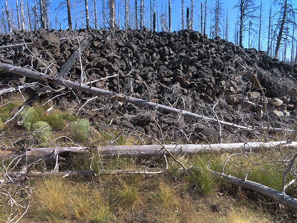 Lava flow near Mt Adams