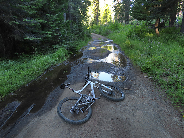 Snowmelt from Mt Adams