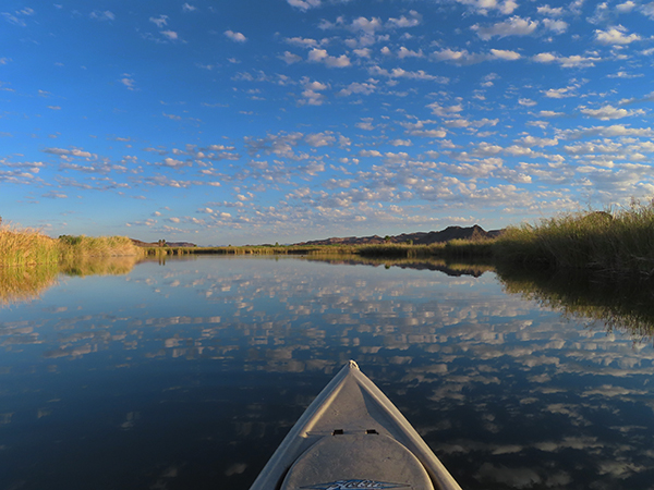 Colorado River backwater