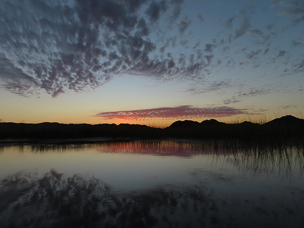 Dawn on the Colorado River