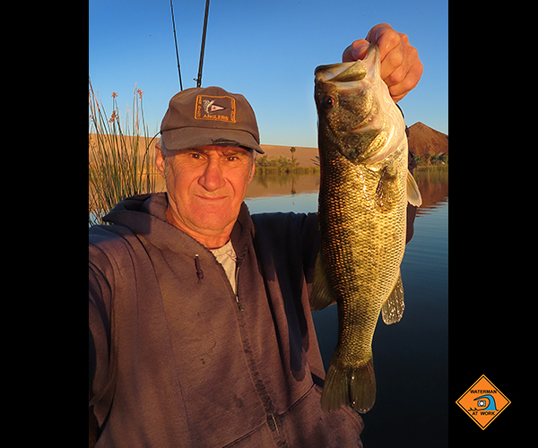 Colorado River largemouth bass caught by watermanatwork.com kayak fisherman Ron Barbish