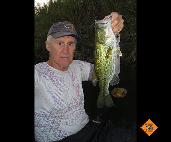 Colorado River largemouth bass caught by watermanatwork.com kayak fisherman Ron Barbish