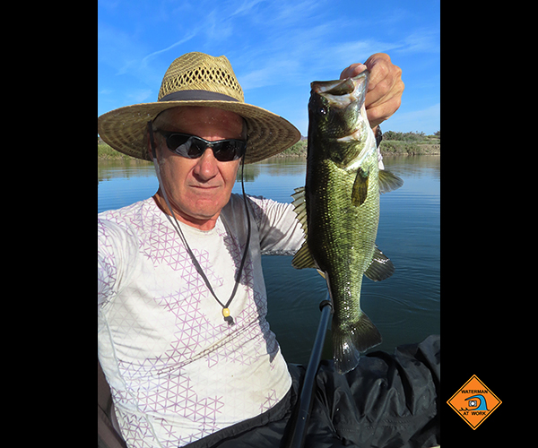 Colorado River largemouth bass caught by watermanatwork.com kayak fisherman Ron Barbish