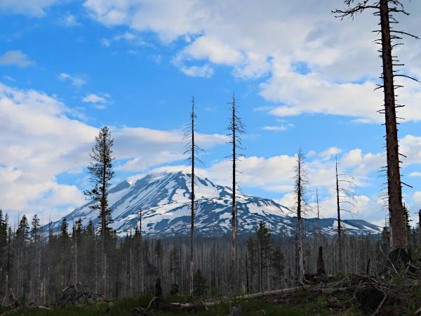 Mt Adams 6-23-23