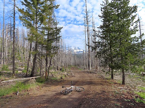 Mountain road near Mt Adams