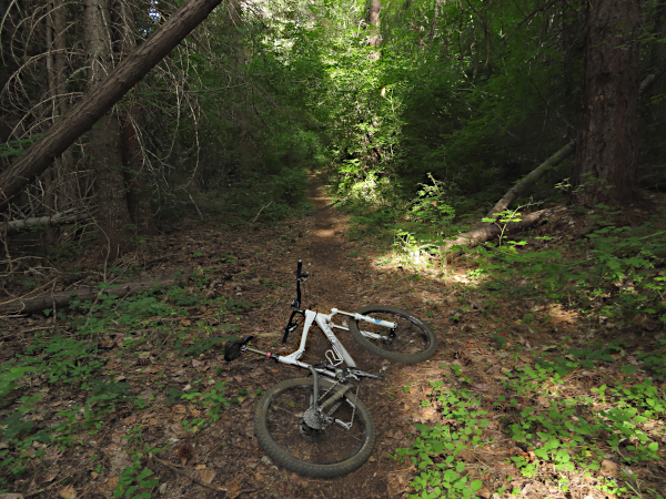 Mountain Trail