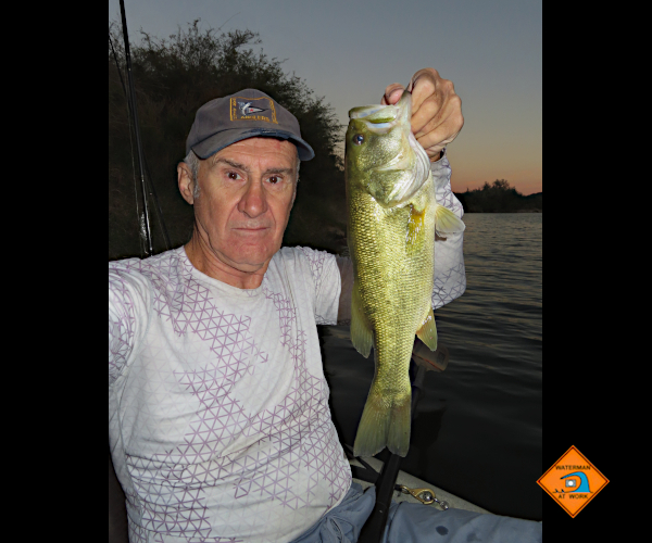 Colorado River LMB caught by watermanatwork.com kayak fisherman Ron Barbish