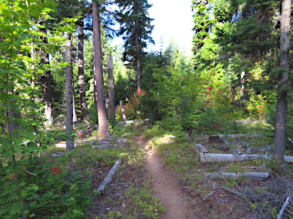 Cascade Mountain trail