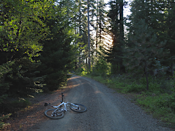 Early morning bike ride