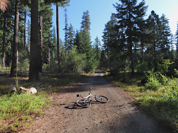 Early morning mountain road