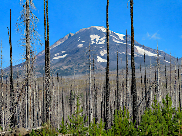 Mt. Adams