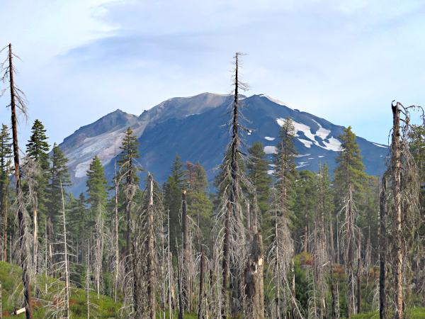 Mt. Adams