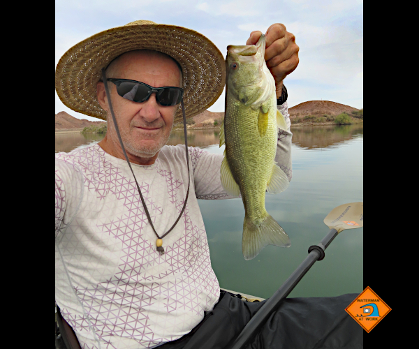 Colorado River largemouth bass caught by watermanatwork.com kayak fisherman Ron Barbish