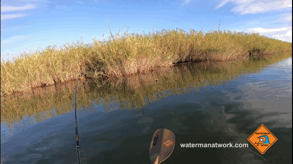 Kayak fishing for largemouth bass with watermanatwork.com