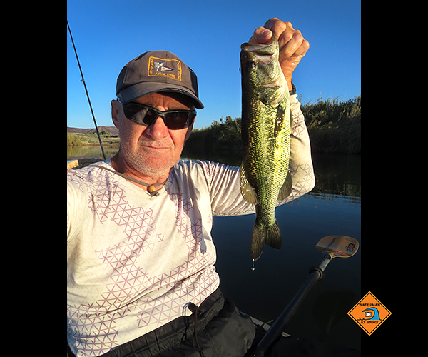 CO River LMB caught by watermanatwork.com kayak fisherman Ron Barbish