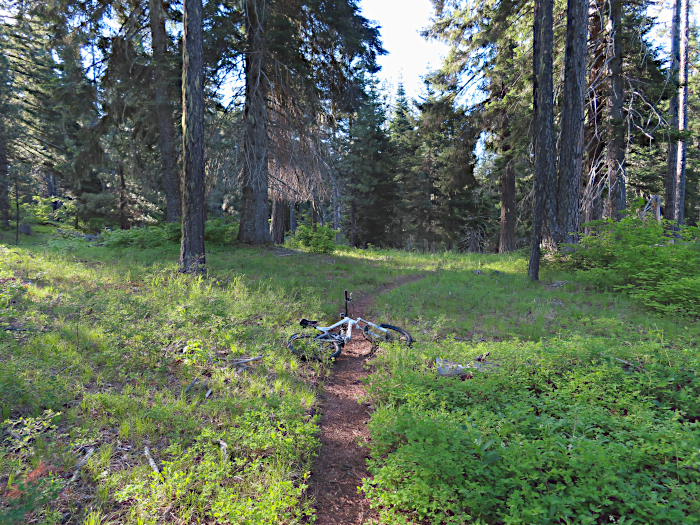 Cascade Mountain trail