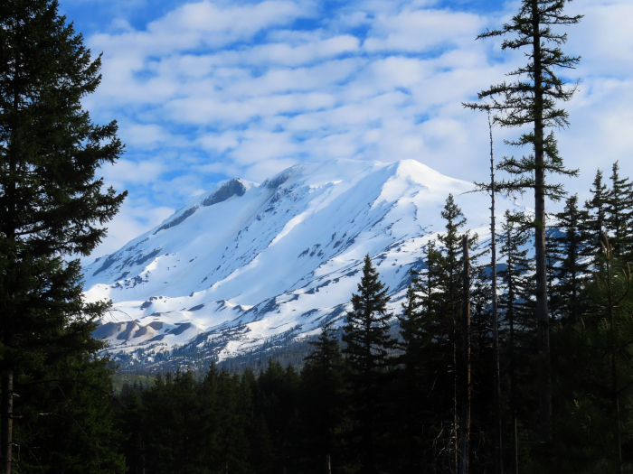 Mt Adams