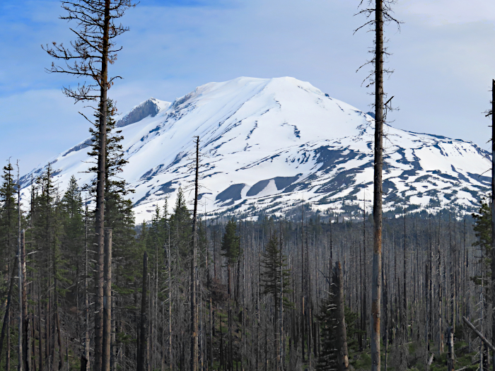 Mt. Adams