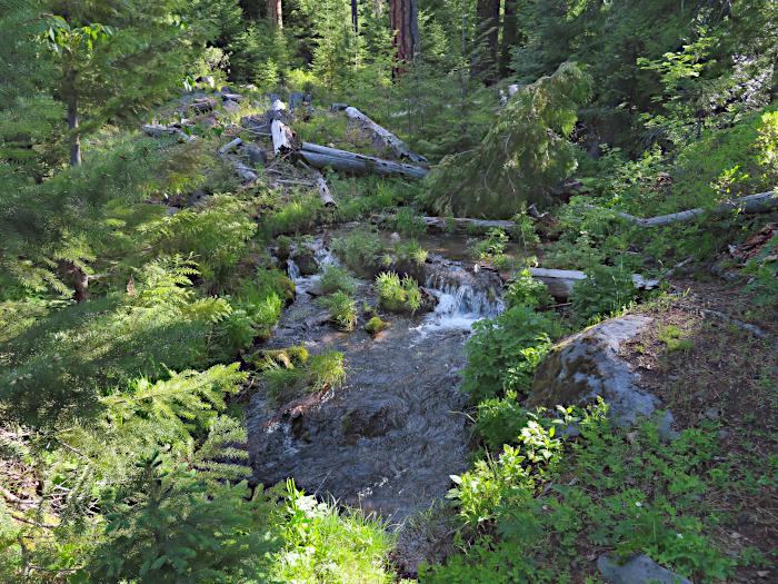 Cascade Mountain stream