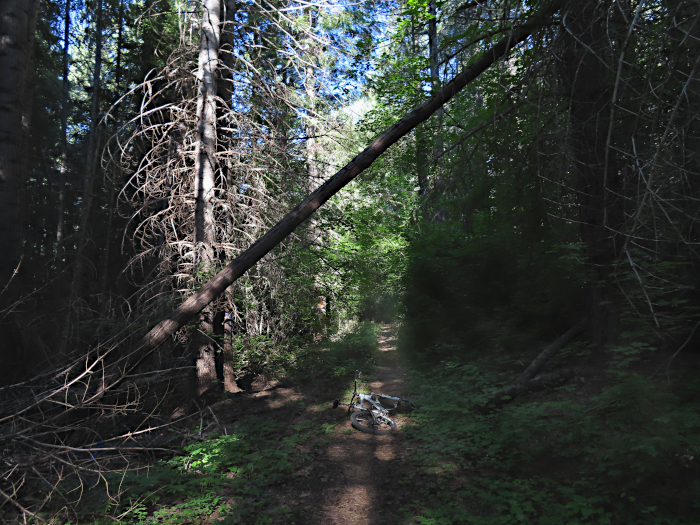 Mountain trail