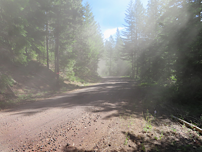 Logging truck passing by