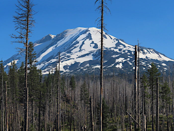 Mt Adams 7-19-24