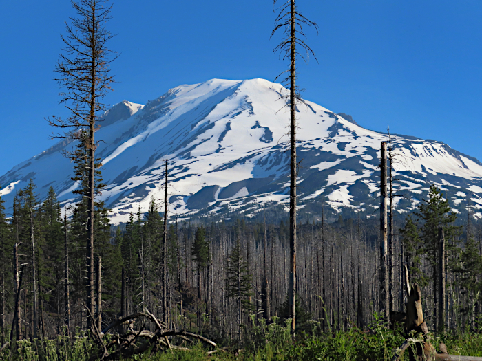 Mt Adams 7-7-24