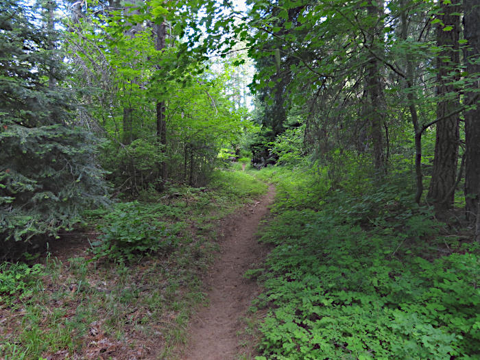 Mountain trail