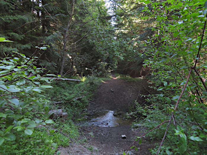 Water crossing