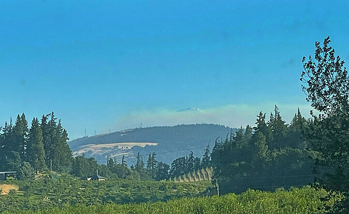 Mt Adams fire 8-6-24