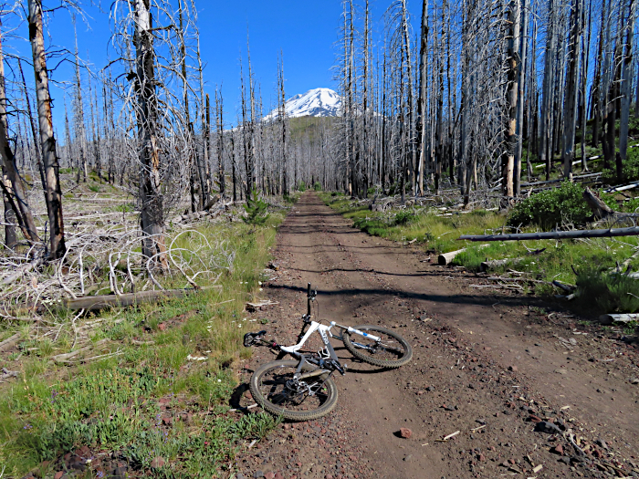 Mt Adams