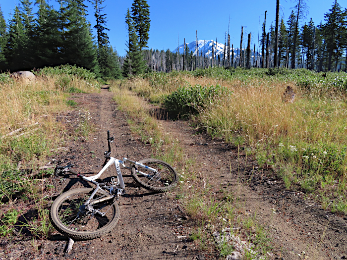 Mt Adams