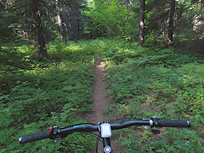 Cascade Mountain trail