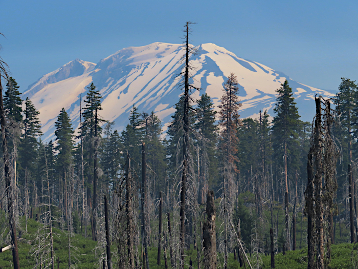 Smoky Mt Adams