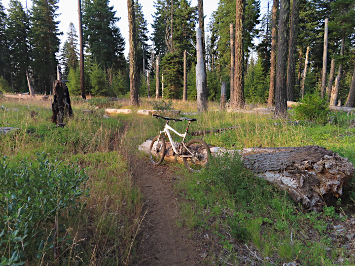 Sunrise trail hazard