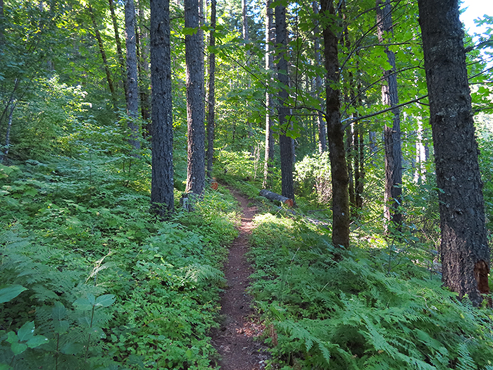 Cascade Mountain trail