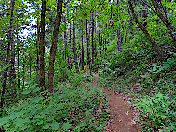 Cascade Mountain trail