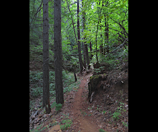 Cascade Mountain trail