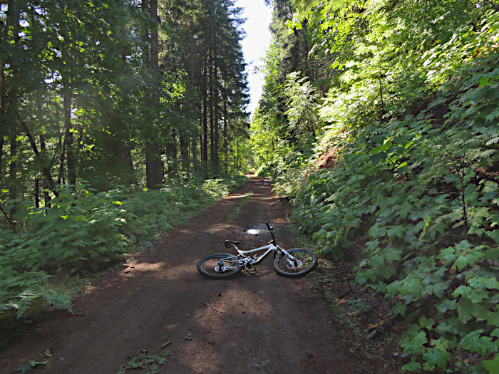 Damp mountain road