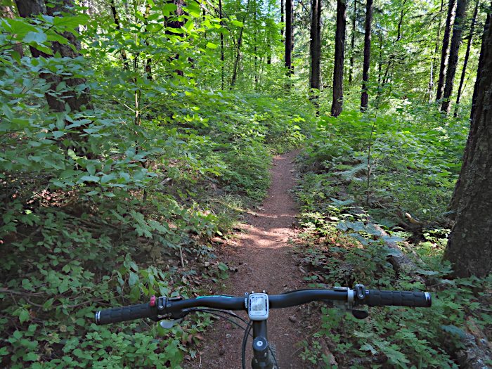 Cascade mountain trail