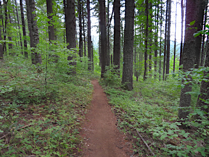 Cascade mountain trail