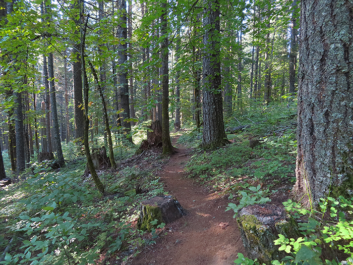 Cascade Mountain trail