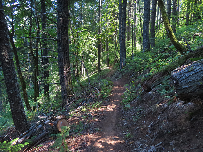 Cascade Mountain singletrack