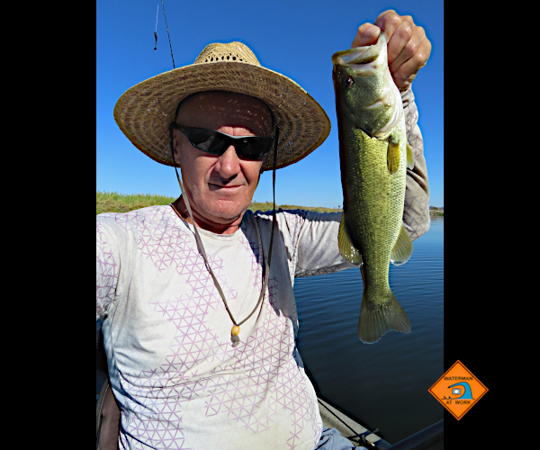 Colorado River LMB caught by watermanatwork.com kayak fisherman Ron Barbish