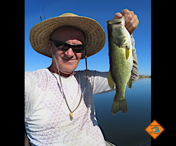 Colorado River LMB caught by watermanatwork.com kayak fisherman Ron Barbish