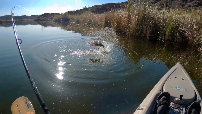 New kayak fishing videos on watermanatwork YouTube channel
